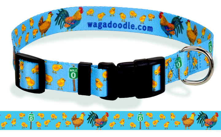 Personalized Dog collar with Chickens , Roosters and baby chicks on a blue background front view