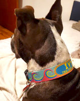 Waves in Pink/Aqua Personalized Dog Collar