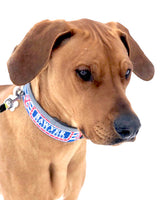 Anchors Red, White & Blue Personalized Dog Collar