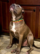 Rasta Peace Personalized Dog Collar