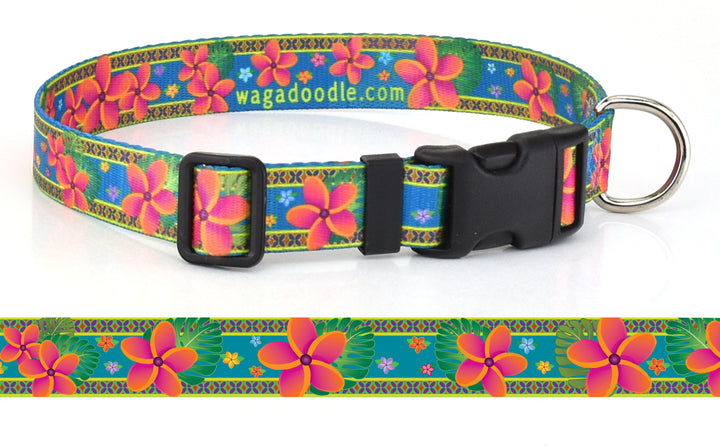 Plumeria Peach on Teal Personalized Dog Collar
