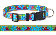 Plumeria Blue on Burgundy Personalized Dog Collar