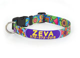 Personalized Dog collar with Zeva's name and phone number with bright multi colored Mandelas.