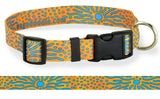 Dog Collar with abstract artwork of a tropical reef Triggerfish that has blue stripes on an orange background
