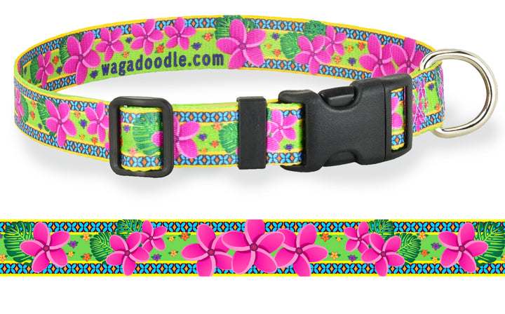 Bright Lime dog collar with Pink Tropical Plumeria Flowers and a Unique Border design