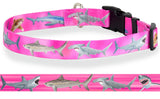 Back view of Pink dog collar with high quality artwork of a great white shark, tiger shark, blue shark, hammerhead shark and an oceanic white tip shark