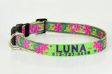 Personalized dog collar wthe the dog's name Luna and the owners phone number on the collar which has a lime green background with bright pink Plumeria Flowers