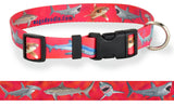 Personalized red background dog collar artwork with high quality art of a great white shark, tiger shark, blue shark, hammerhead shark and an oceanic white tip shark made by key west artist Deb Pansier