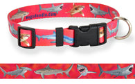 Sharks Attack Dog Collar Red Personalized Dog Collar