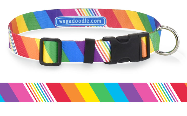 Rainbow Ribbons Dog Collar