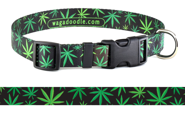 420 Friendly Personalized Dog Collar