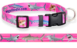 Pink dog collar with high quality artwork of a great white shark, tiger shark, blue shark, hammerhead shark and an oceanic white tip shark 