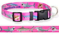 Sharks Attack Dog Collar Pink Personalized Dog Collar