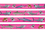 Pink dog collar with high quality artwork of a great white shark, tiger shark, blue shark, hammerhead shark and an oceanic white tip shark made by key west artist Deb Pansier